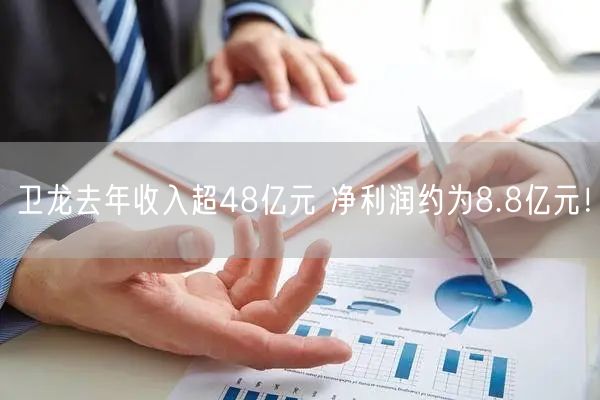 卫龙去年收入超48亿元 净利润约为8.8亿元！