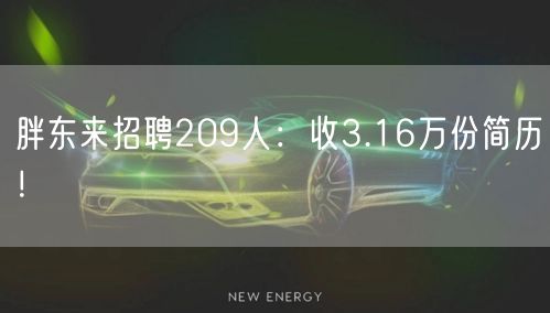 胖东来招聘209人：收3.16万份简历！