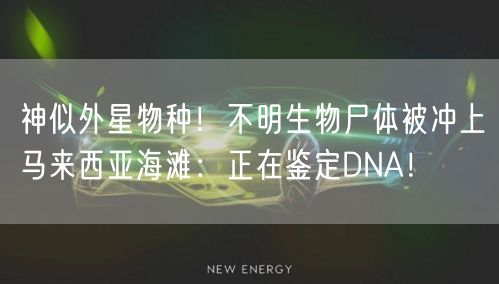 神似外星物种！不明生物尸体被冲上马来西亚海滩：正在鉴定DNA！