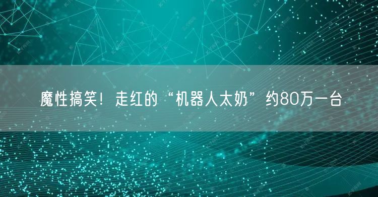 魔性搞笑！走红的“机器人太奶”约80万一台 