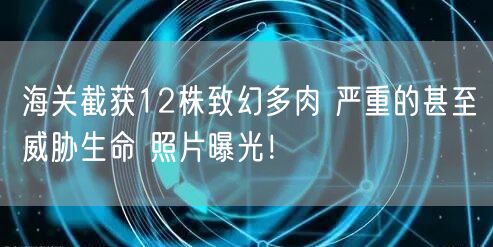 海关截获12株致幻多肉 严重的甚至威胁生命 照片曝光！