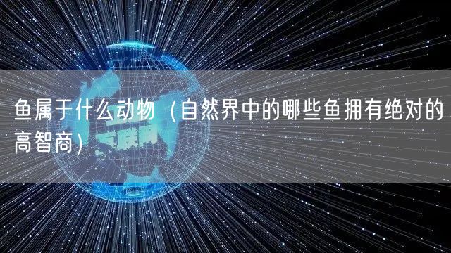 鱼属于什么动物（自然界中的哪些鱼拥有绝对的高智商）