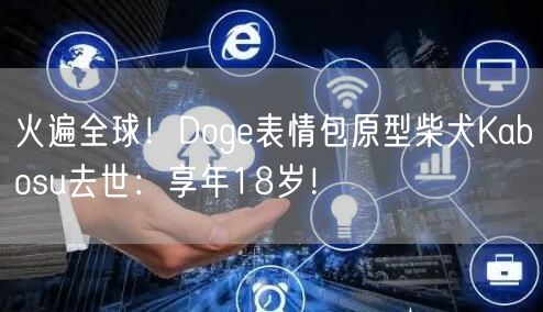 火遍全球！Doge表情包原型柴犬Kabosu去世：享年18岁！