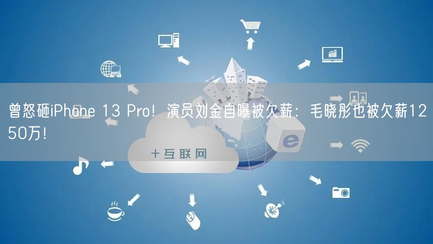 曾怒砸iPhone 13 Pro！演员刘金自曝被欠薪：毛晓彤也被欠薪1250万！