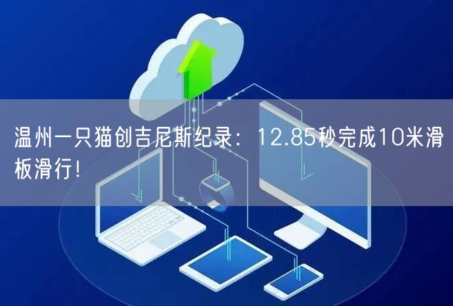 温州一只猫创吉尼斯纪录：12.85秒完成10米滑板滑行！