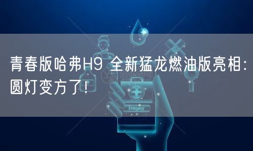 青春版哈弗H9 全新猛龙燃油版亮相：圆灯变方了！