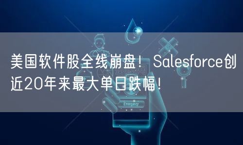 美国软件股全线崩盘！Salesforce创近20年来最大单日跌幅！