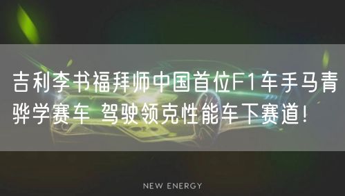 吉利李书福拜师中国首位F1车手马青骅学赛车 驾驶领克性能车下赛道！