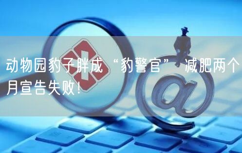 动物园豹子胖成“豹警官” 减肥两个月宣告失败！