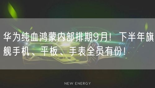 华为纯血鸿蒙内部排期9月！下半年旗舰手机、平板、手表全员有份！