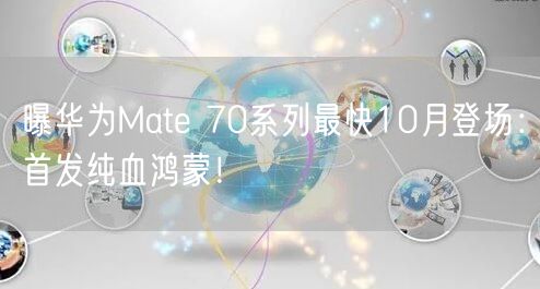 曝华为Mate 70系列最快10月登场：首发纯血鸿蒙！