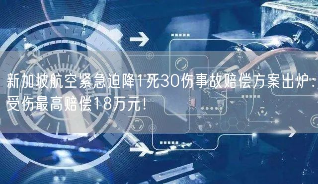 新加坡航空紧急迫降1死30伤事故赔偿方案出炉：受伤最高赔偿18万元！