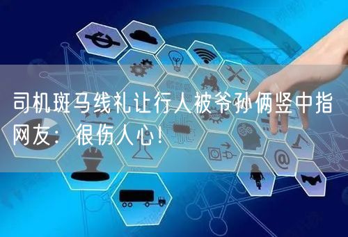 司机斑马线礼让行人被爷孙俩竖中指 网友：很伤人心！