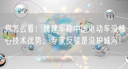 你怎么看！魏建军称中国电动车没核心技术优势：专家反驳是没护城河！