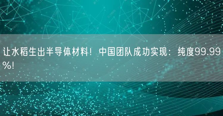 让水稻生出半导体材料！中国团队成功实现：纯度99.99%！