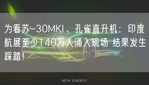 为看苏-30MKI、孔雀直升机：印度航展至少140万人涌入现场 结果发生踩踏！