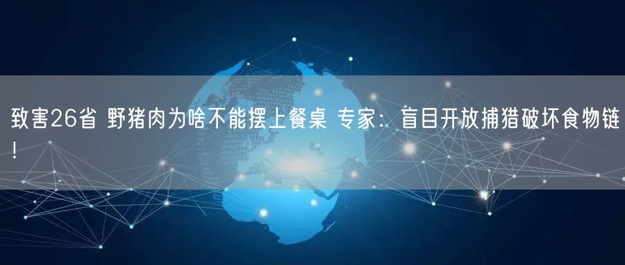 致害26省 野猪肉为啥不能摆上餐桌 专家：盲目开放捕猎破坏食物链！