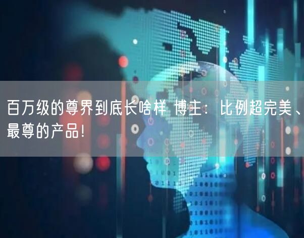 百万级的尊界到底长啥样 博主：比例超完美、最尊的产品！