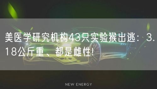 美医学研究机构43只实验猴出逃：3.18公斤重、都是雌性!