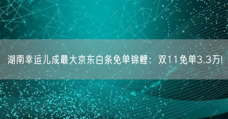 湖南幸运儿成最大京东白条免单锦鲤：双11免单3.3万!