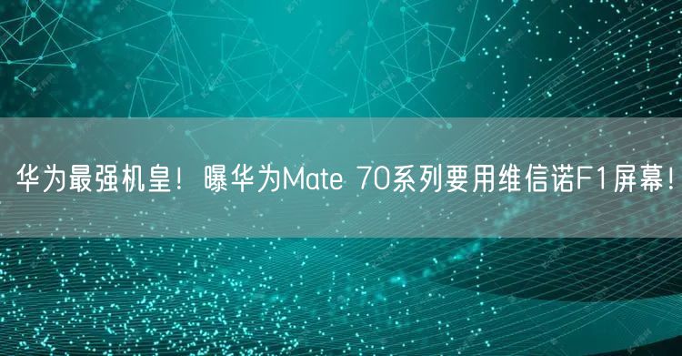 华为最强机皇！曝华为Mate 70系列要用维信诺F1屏幕！