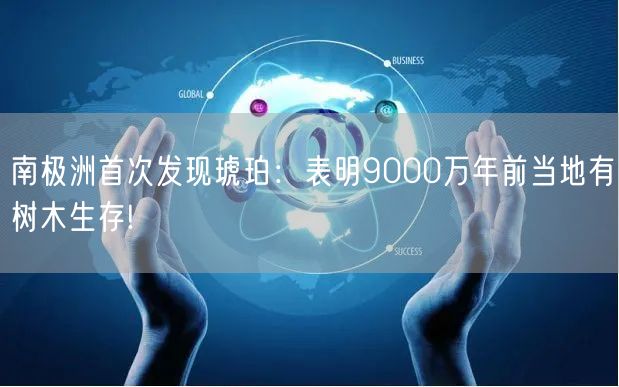 南极洲首次发现琥珀：表明9000万年前当地有树木生存!