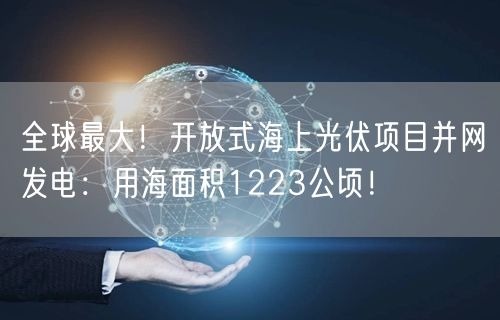 全球最大！开放式海上光伏项目并网发电：用海面积1223公顷！