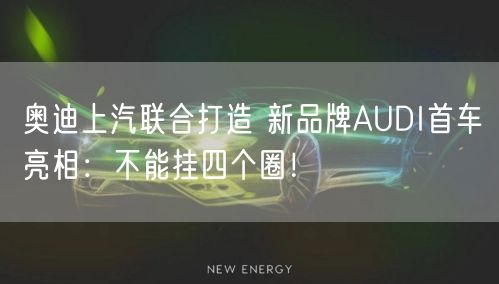 奥迪上汽联合打造 新品牌AUDI首车亮相：不能挂四个圈！