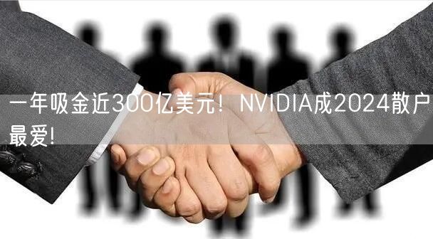 一年吸金近300亿美元！NVIDIA成2024散户最爱!