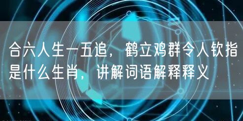 合六人生一五追，鹤立鸡群令人钦指是什么生肖，讲解词语解释释义