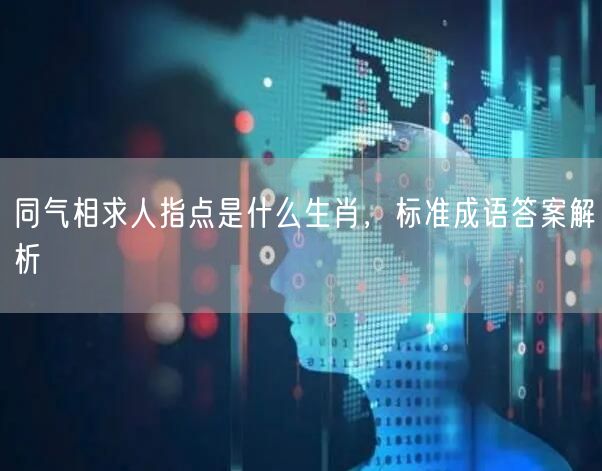 同气相求人指点是什么生肖，标准成语答案解析