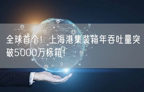 全球首个！上海港集装箱年吞吐量突破5000万标箱！