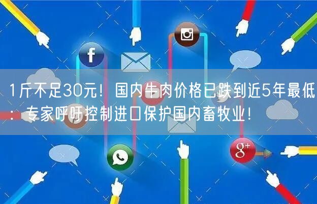 1斤不足30元！国内牛肉价格已跌到近5年最低：专家呼吁控制进口保护国内畜牧业！