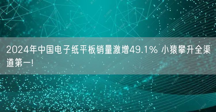 2024年中国电子纸平板销量激增49.1% 小猿攀升全渠道第一!