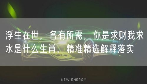 浮生在世，各有所需，你是求财我求水是什么生肖，精准精选解释落实