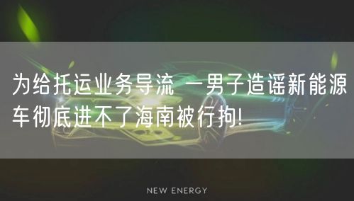 为给托运业务导流 一男子造谣新能源车彻底进不了海南被行拘!