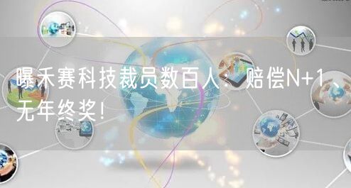 曝禾赛科技裁员数百人：赔偿N+1、无年终奖！