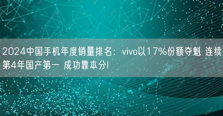 2024中国手机年度销量排名：vivo以17%份额夺魁 连续第4年国产第一 成功靠本分!