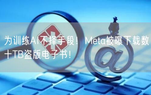 为训练AI不择手段！Meta被曝下载数十TB盗版电子书！