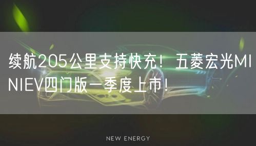 续航205公里支持快充！五菱宏光MINIEV四门版一季度上市！