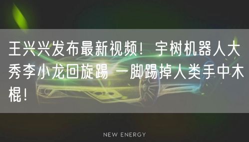 王兴兴发布最新视频！宇树机器人大秀李小龙回旋踢 一脚踢掉人类手中木棍！