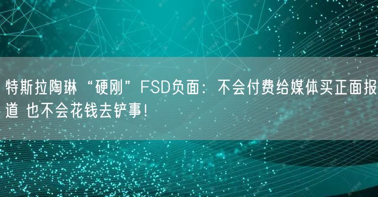 特斯拉陶琳“硬刚”FSD负面：不会付费给媒体买正面报道 也不会花钱去铲事！